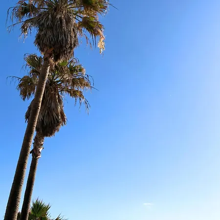 Beachfront - La Casa Del Mar 빌라 코라레호